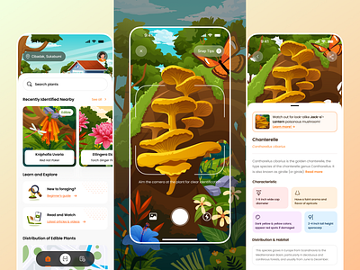Foragely - Edible Wild Plants Foraging App 🌱 app botany camera edible education exploration foraging identification illustration mobile mushroom nature orely outdoor plants safety scanner ui ux