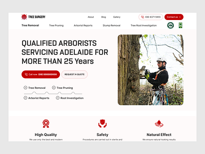 TREE SURGERY WEB SITE DESGINE 3d branding creativ degital graphic design landing page mordan tree surgery