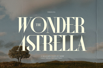 Wonder Astrella | Modern Display Serif serif typeface