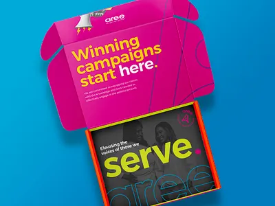 Aree Expert Solutions aree blue bold box branding bright campaign expert mailer marketing modern open orange packaging pink political serve solutions vibrant voice