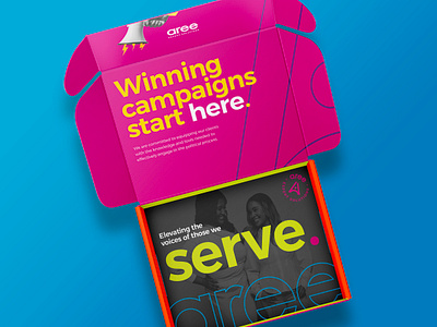 Aree Expert Solutions aree blue bold box branding bright campaign expert mailer marketing modern open orange packaging pink political serve solutions vibrant voice