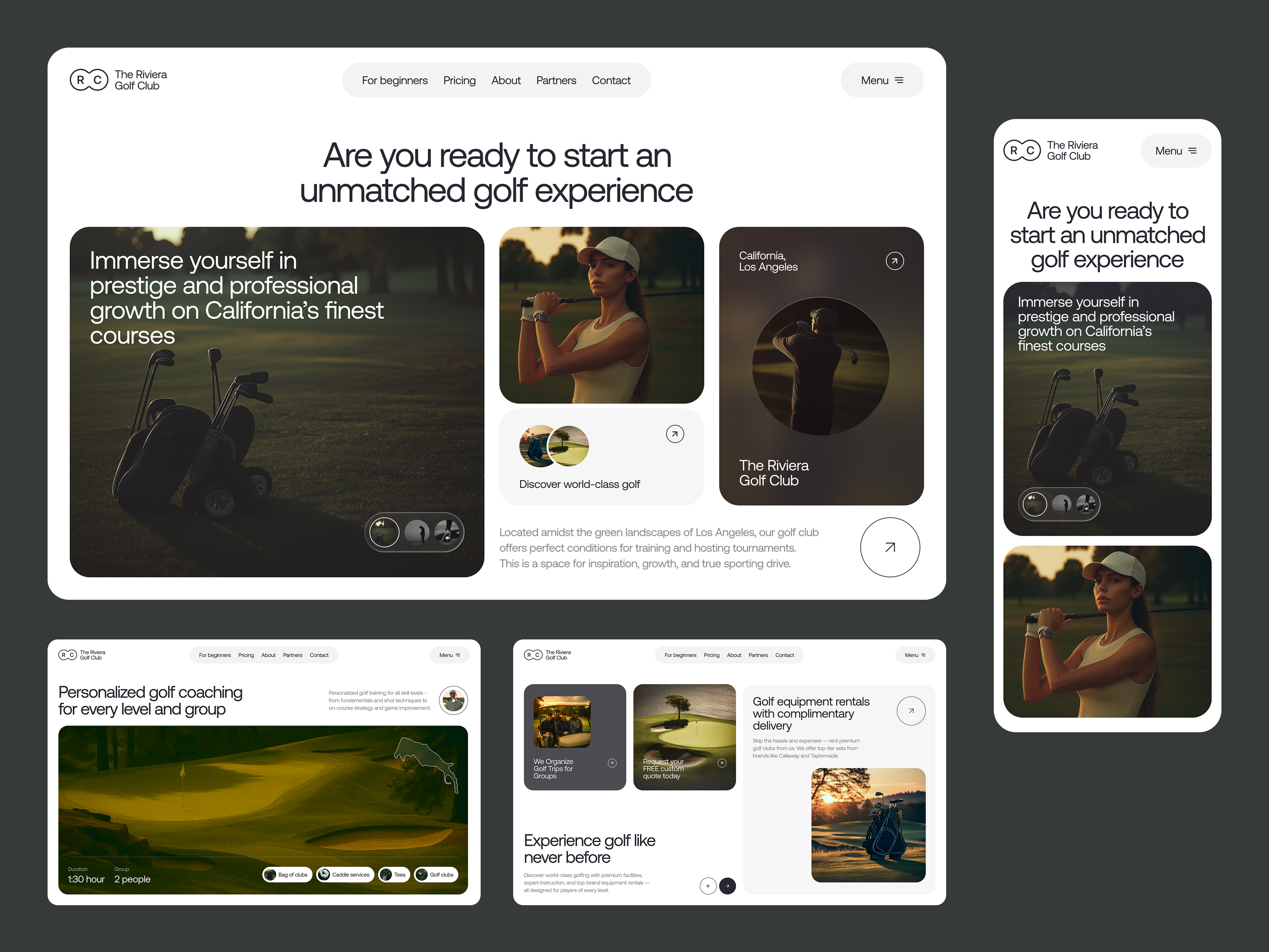 Example of Website Design Audit – 1 Week