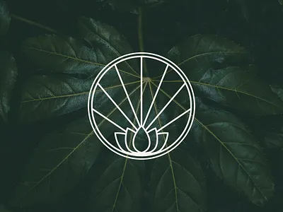 VertVita - Brand Logo brand brand agency brand icon brand identity branding branding project cbd branding cbd logo design graphic design illustration leaf logo logo logomark logotype vector vertvita