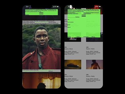 Pantera Studio - Dynamic Mobile Portfolio UI app app design app screen application charecter design dark mode dark tone design mobile mobile design mobile ui ui ui design user friendly user interface ux uxui uxui design