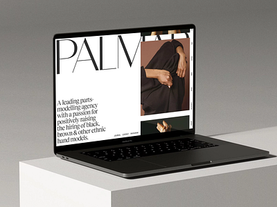 PALM Agency - Inclusive Modeling Web UI agency agency website clean design editorial home page landing page landing page design palm simple social impact typo typograpgy ui ui design ux ux design web design website website design