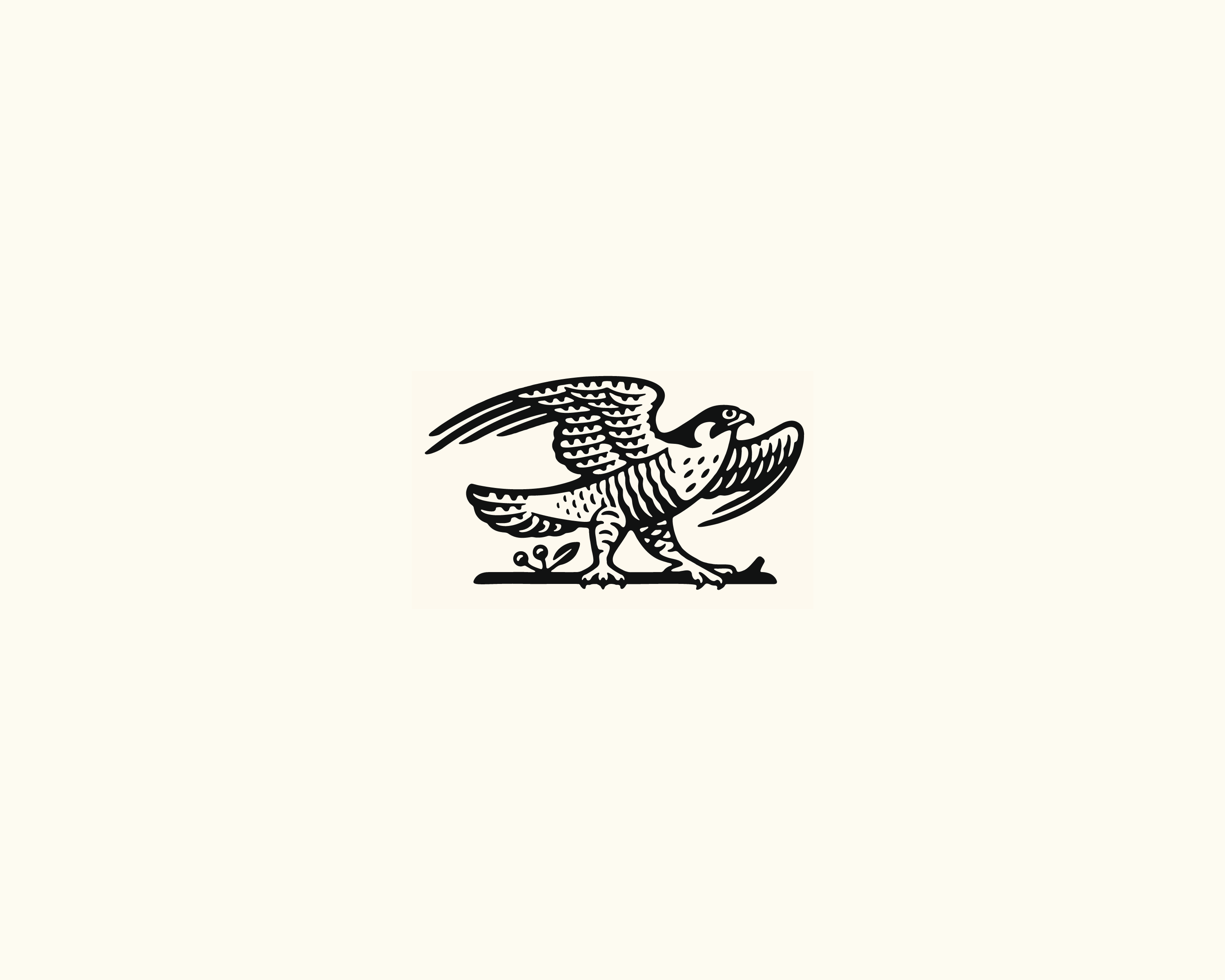 Falcon Investment Group bird engraving falcon hawk illustration illustrator logo logo design logo mark mark nature scratchboard wildlife woodcut