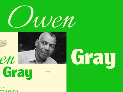 Concept UI - Owen Gray art directed branding design editorial design graphic design hero section musician owen gray reggae ui user interface web design