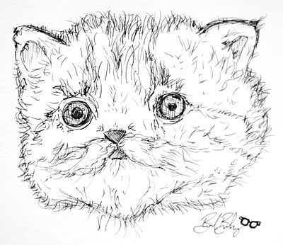 Cats & Cleft Palettes illustration