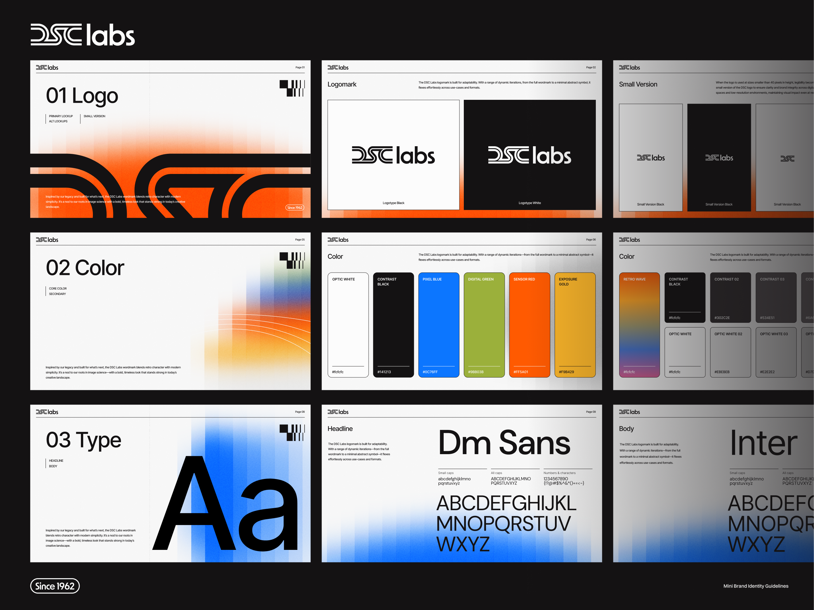 Example of DSC Labs Mini Brand Guidelines