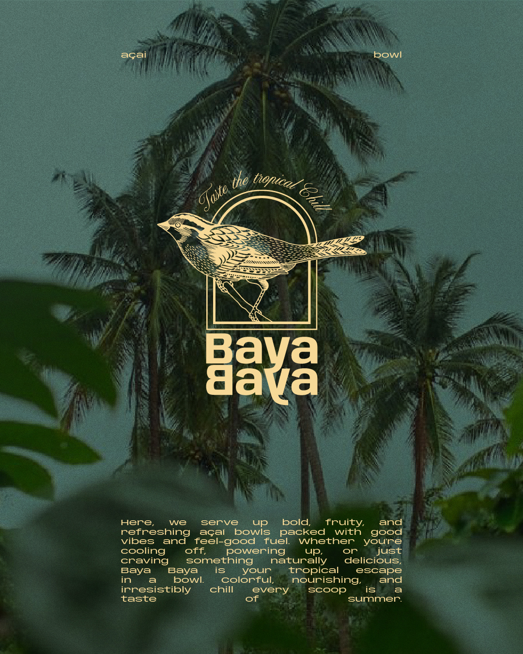 Acai Concept Branding acai bowl brand branding concept food graphic design healthy illustration logo pokebowl tropical vector