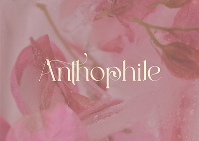 Anthophile - Flower Brand brand guidelines brand identity branding graphic design logo logo design logo designer visual identity