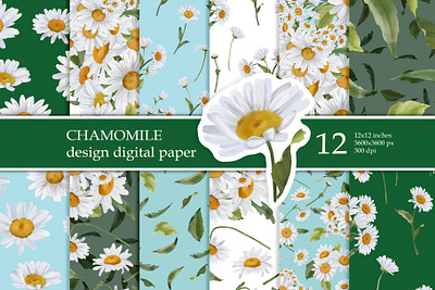 Chamomile Patterns Digital paper pack 3d animation graphic design motion graphics