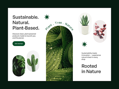 Naturely – Minimal & Clean Plant Store Landing Page figma figmadesign nature ui design web design
