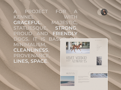 Dog kennel landing page. Azawakh. animals design dogs landing page prototyping typography ui ui design user experience user interface ux ux design website