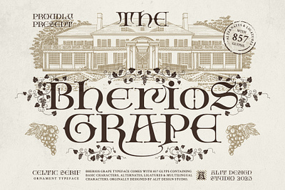Bherios Grape Typeface design font fonts letteing typeface