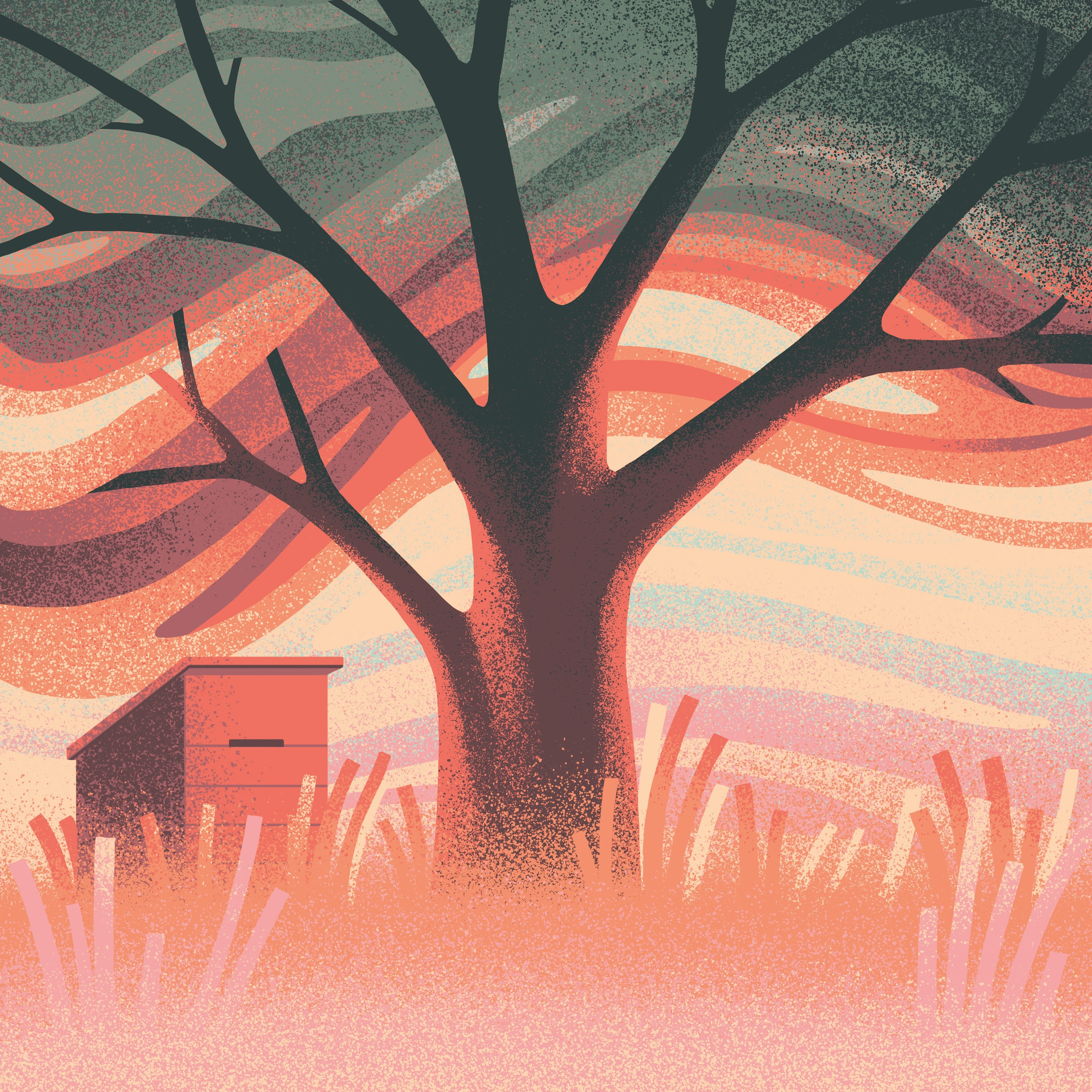 Tree beehive grass landscape sky sunrise sunset tree