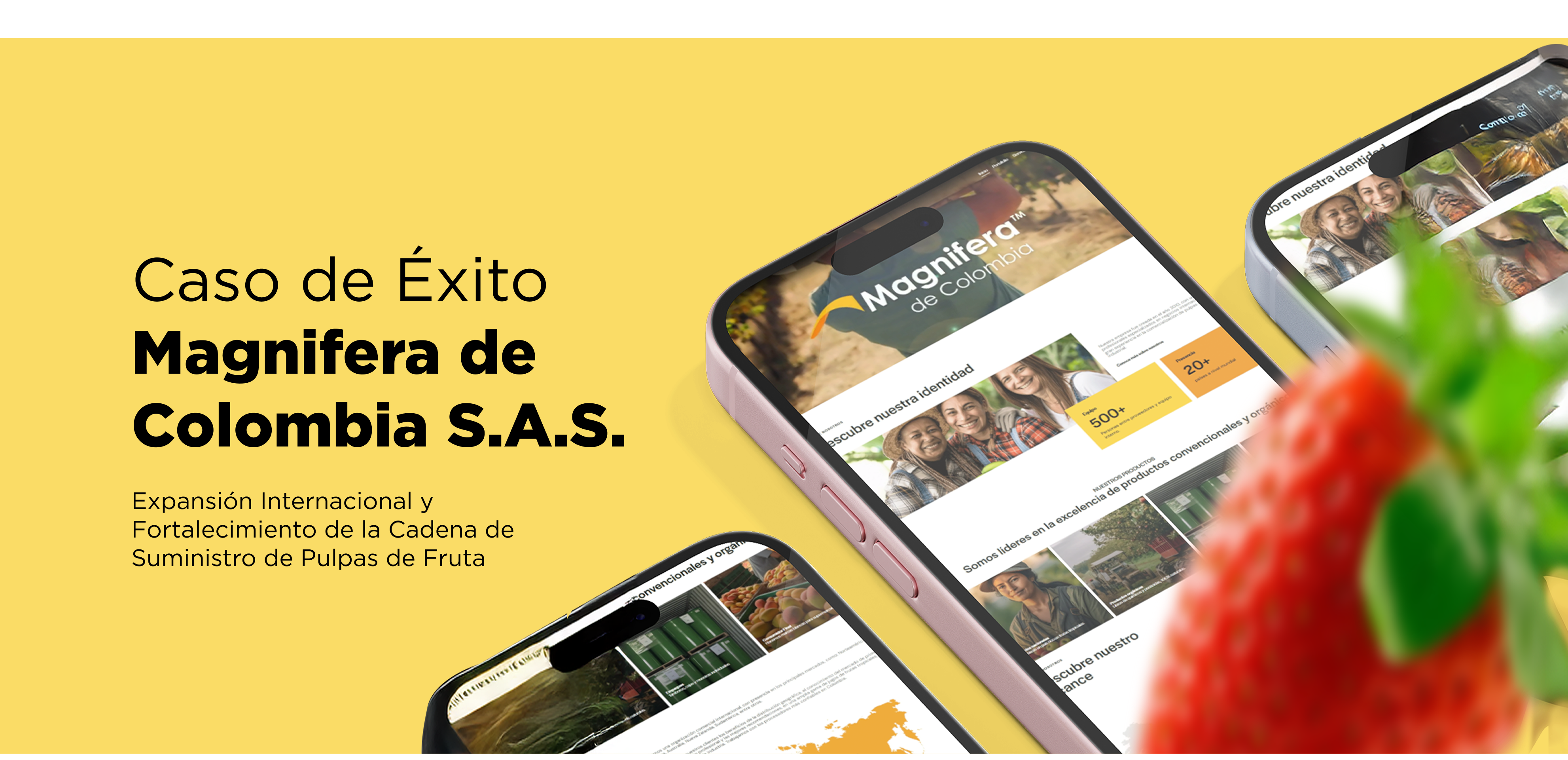Magnifera de Colombia: Estrategia para la Expansión Global graphic design ui ux website