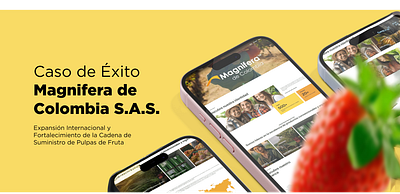 Magnifera de Colombia: Estrategia para la Expansión Global graphic design ui ux website