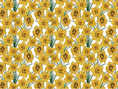 Daffodil Flower Pattern flowers illustration pattern
