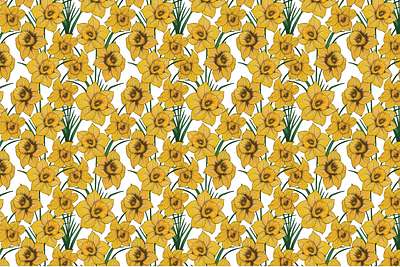 Daffodil Flower Pattern flowers illustration pattern