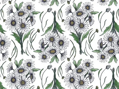 Daisy Flower Pattern flowers illustration pattern
