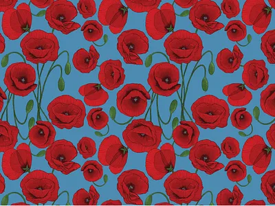 Poppy Flower Pattern flower illustration pattern poppies