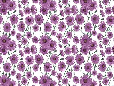 Aster Flower Pattern aster flower illustration pattern