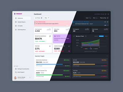 SaaS Finance Dashboard UI - FinSight darkmode dashboard interface light theme ui ux
