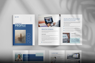 Company Profile annual report brochure brochure design business company brochure company profile design graphic design multipage print print design profile template white paper