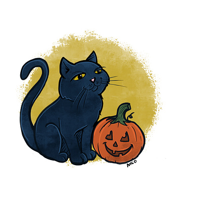 Cat with pumpkin Illustration cat illustration