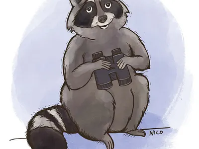 Raccoon with binoculars illustration illustration raccoon