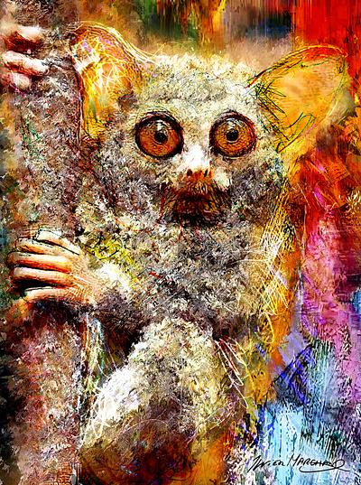 Le Tarsier