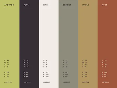 The Curio Collective Color Palette brand colors brand identity branding color color palette design graphic design the curio co type vector visual identity