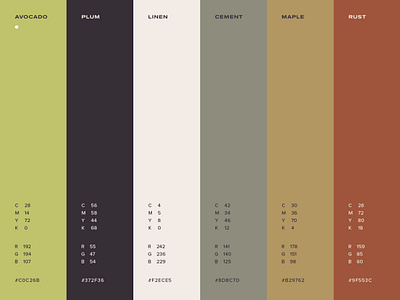 The Curio Collective Color Palette brand colors brand identity branding color color palette design graphic design the curio co type vector visual identity
