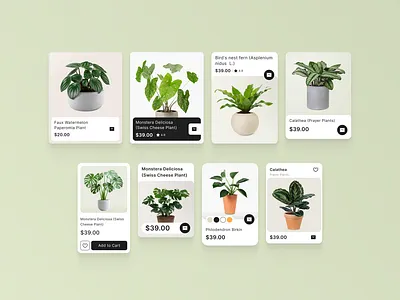 UX Card Exploration for a Garden Shop asset card component design experience exploration product product design ui ux