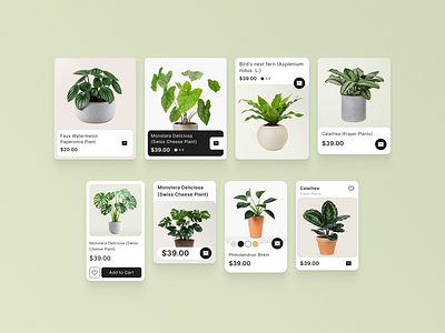 UX Card Exploration for a Garden Shop asset card component design experience exploration product product design ui ux