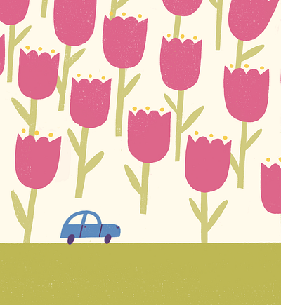 The Land of Tulips car flowers illustration procreate road scale spring texture tulips valley
