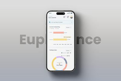 Responsive Fintech Dashboard | Personal Finance dashoboard fintech personal budgeting tool personal finance ui
