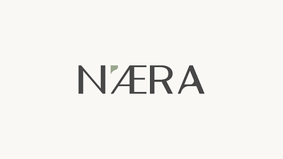 Brand Identity - NAERA brandidentity branding design graphic design illustration logo logodesign packagingdesign