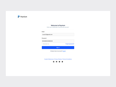 Modern & Secure Login UI – Paynium login loginpage modernui paynium productdesign signin ui