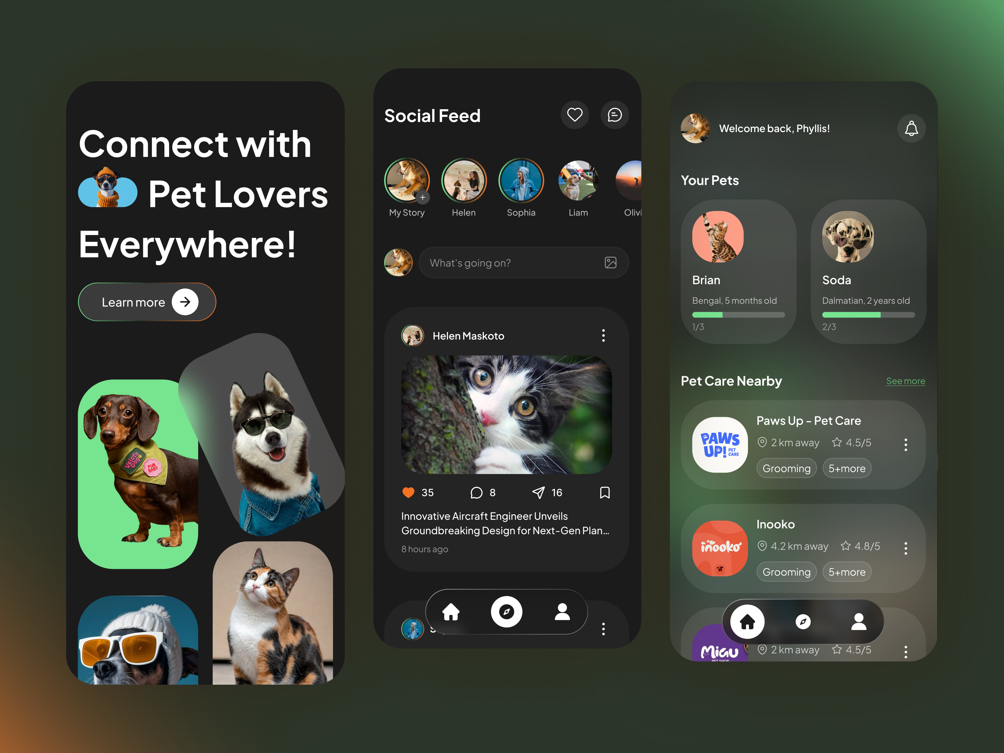 Example of Pet social