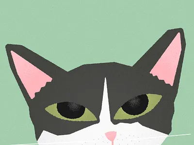 Mika cat flat illustration texture