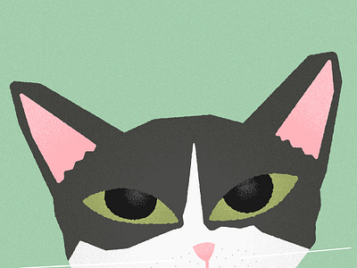 Mika cat flat illustration texture