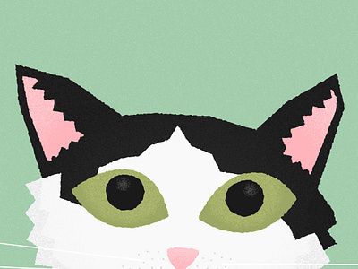 Marty cat flat illustration texture