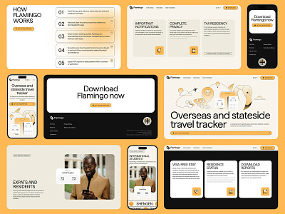 Case Study: Travel Tracker Service Website branding case design graphic design logo ui