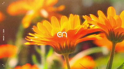 Natural Science Museum Identity | MACN branding design graphic design identity museum nature typography