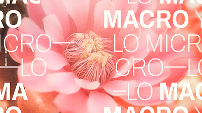 MACN | Museum Identity branding design graphic design image creation logo typography