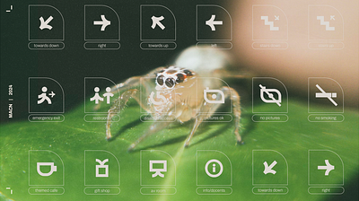 MACN | Museum Identity branding design graphic design image creation nature typography