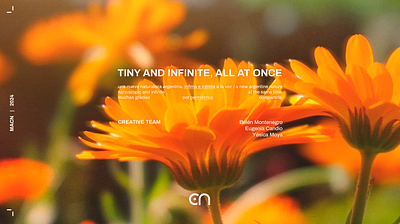 MACN | Museum Identity branding graphic design identity logo museum nature typography
