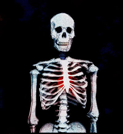 dem bones... bleeding heart bones dem bones dem bones dem dry bones doodle illustration noise shunte88 skeleton vector